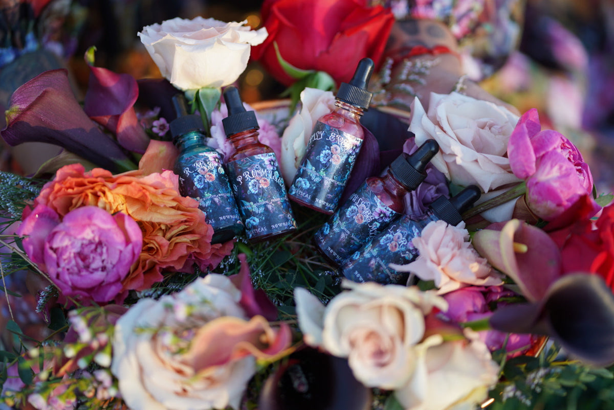 FANTASTICAL NOWHERE'S GARDEN