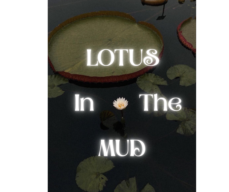 Lotus In The Mud (Limited Edition)