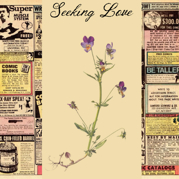 Seeking Love ( LIMITED EDITION)