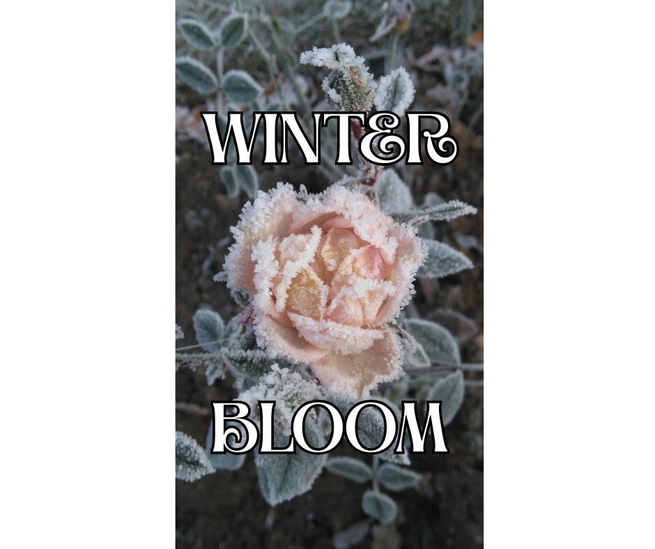Winter Bloom
